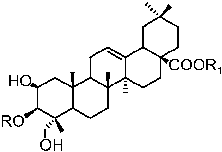 2.2.3 次生代謝物